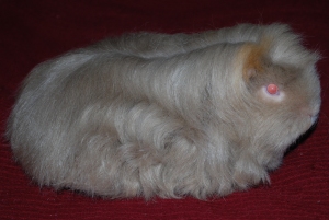 Ceroni's Red Delicious Eye